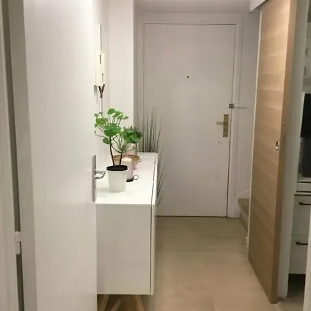 Splendide Appartement Duplex - Centre Cannes * קאן